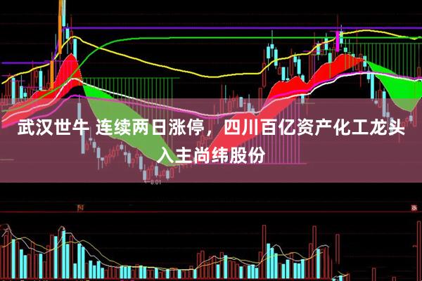 武汉世牛 连续两日涨停，四川百亿资产化工龙头入主尚纬股份