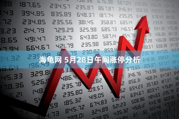 海龟网 5月28日午间涨停分析
