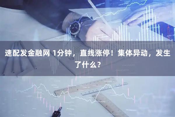 速配发金融网 1分钟,直线涨停!集体异动,发生了什么?