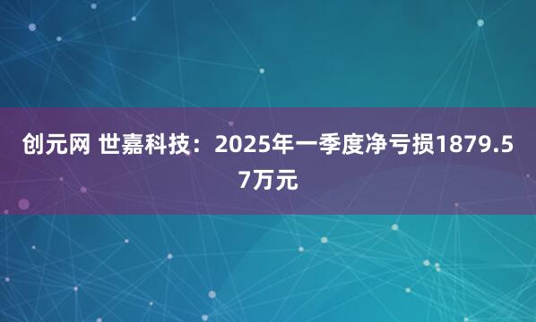 创元网 世嘉科技：2025年一季度净亏损1879.57万元