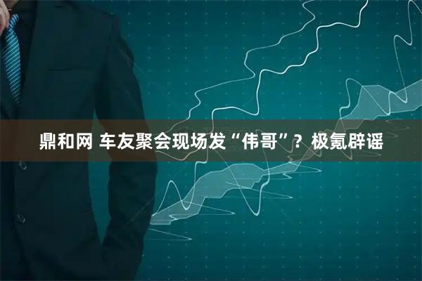 鼎和网 车友聚会现场发“伟哥”？极氪辟谣