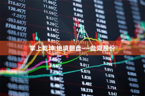 掌上乾坤 绝境翻盘——盐湖股份