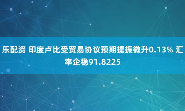 乐配资 印度卢比受贸易协议预期提振微升0.13% 汇率企稳91.8225